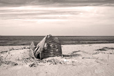 Alone on the Beach