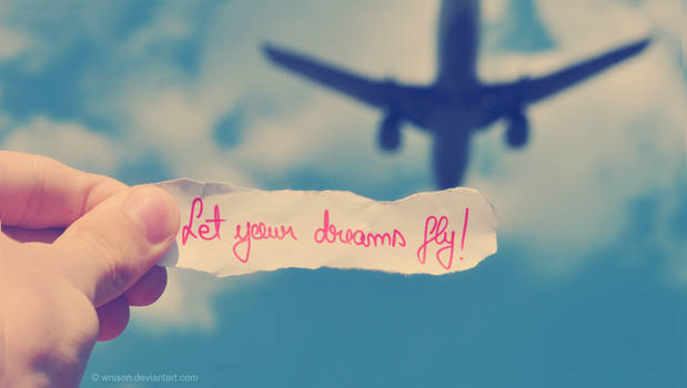 Let your dreams fly
