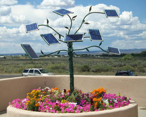 solar panel flowers