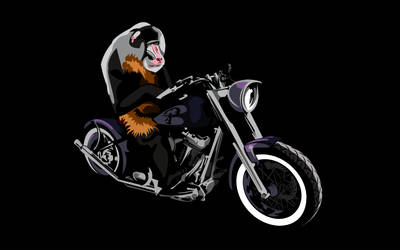 Biker Mandrill