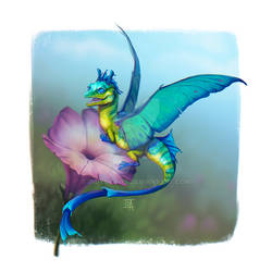 Little Dragon