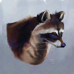 Trash Panda