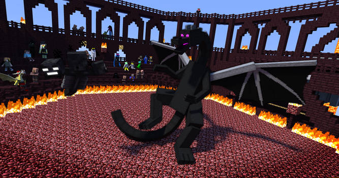 Wither vs. Enderdragon