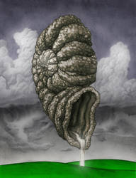 Nautilus of Storms
