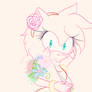 A girft For Amy Rose