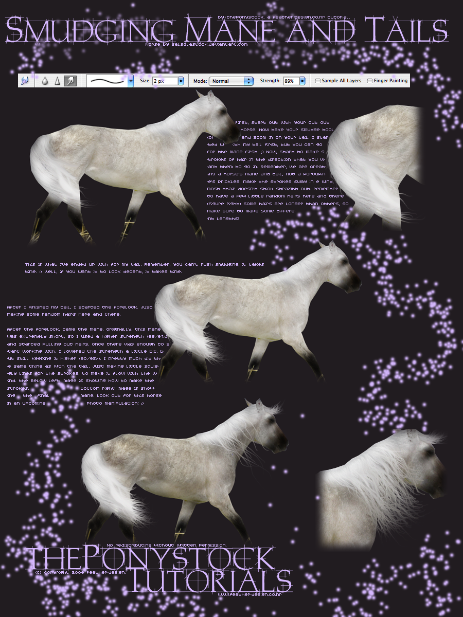 Manes and Tails - Tutorial 2.