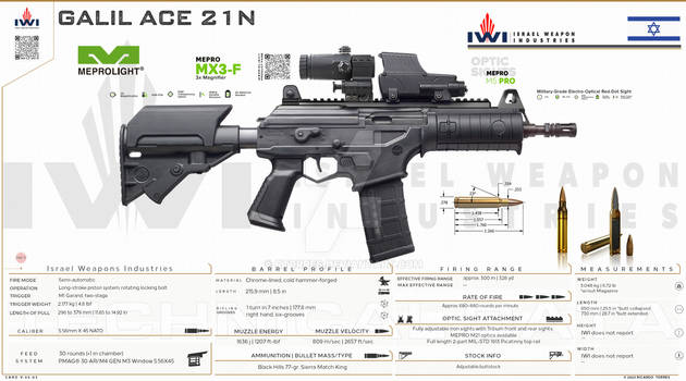 Israel Weapons Industries - Galil ACE 21N