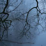 Haarlem in Fog, a view