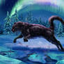 Siegmar_B-Day_2025