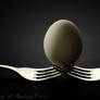 Egg Balance
