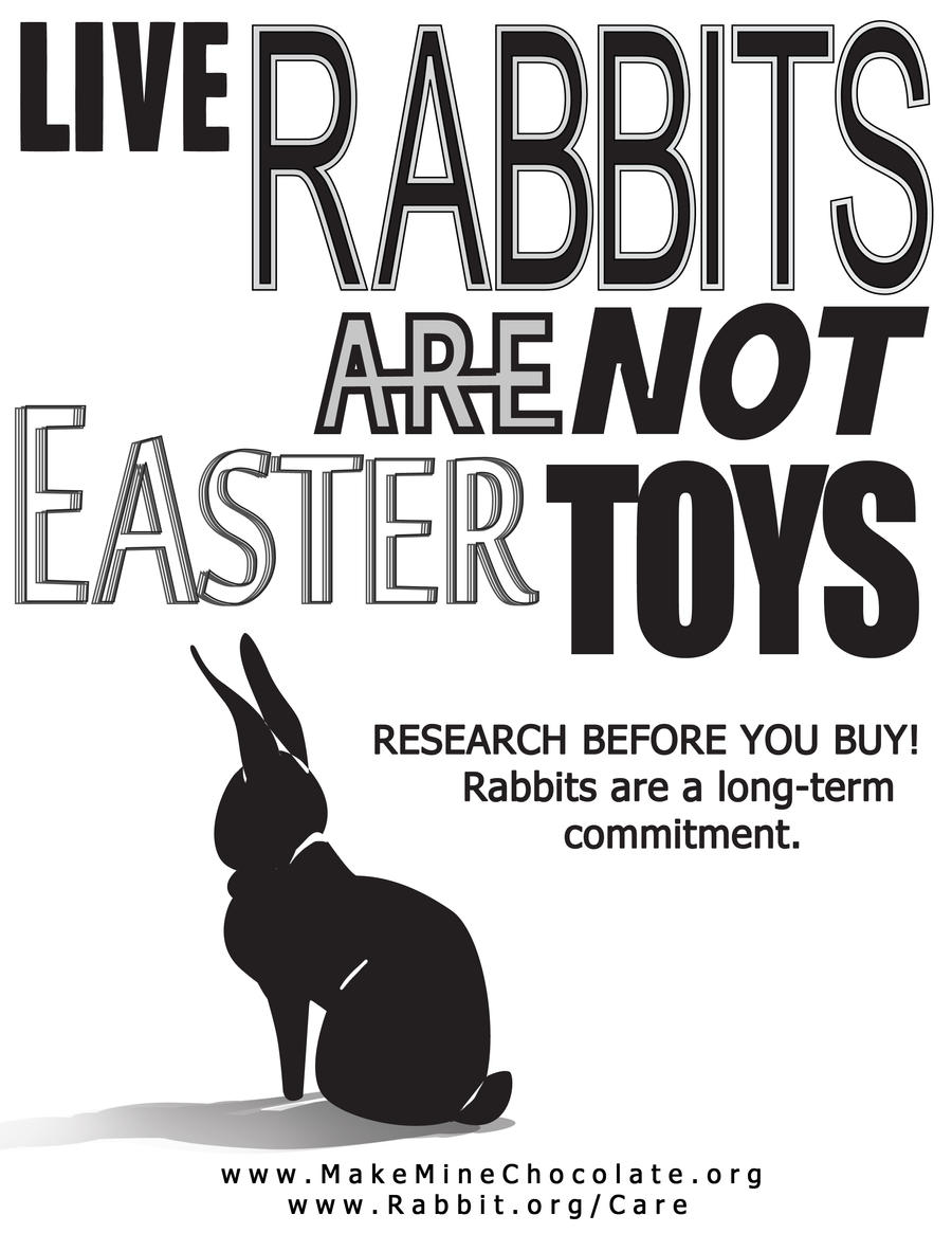 Live Rabbits are NOT Toys