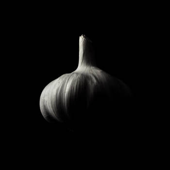 garlic by Jajoroma