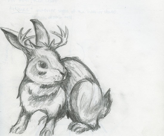 Jackalope