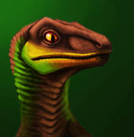 Velociraptor