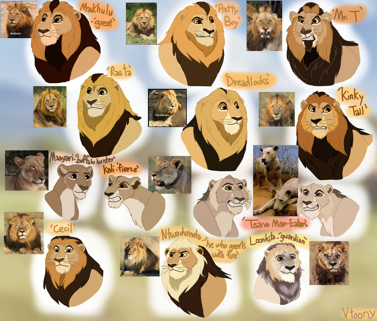 Tlk Definitions TLK: Notable Lions by Vtoony on DeviantArt