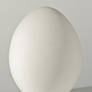 Egg on White