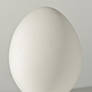 Egg on White