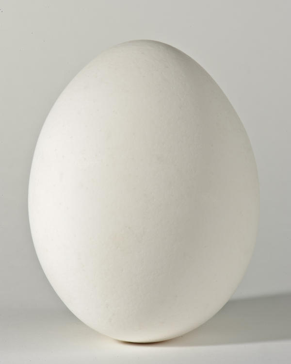 Egg on White