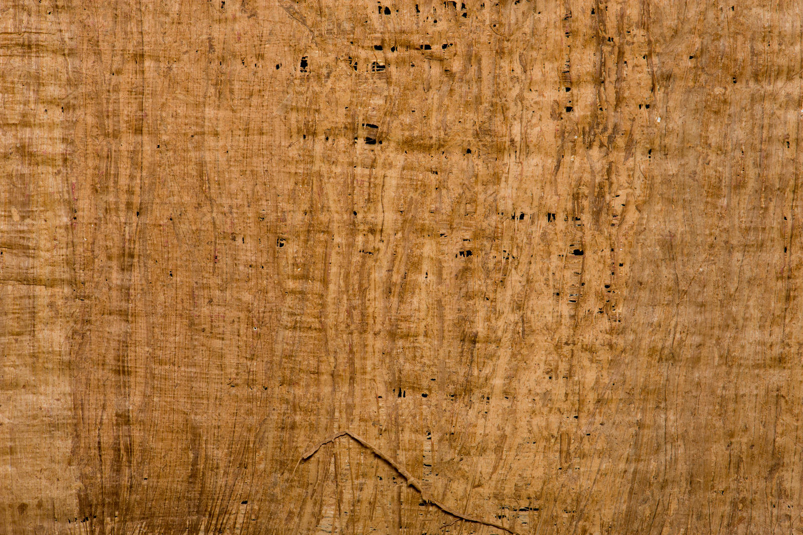 Papyrus 2