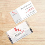 Business Cards MeritDPF
