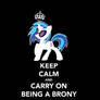 Keep calm and carry on being a brony-Vinyl Scratch