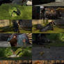 Hiccup's Dragon Discoveries