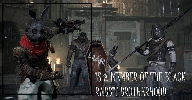 Explore the Best Black_rabbit_brotherhood Art | DeviantArt