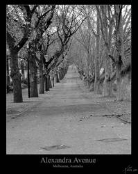 Alexandra Avenue - Framed