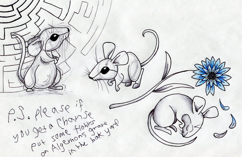 Flowers for Algernon by TomCatKid on DeviantArt