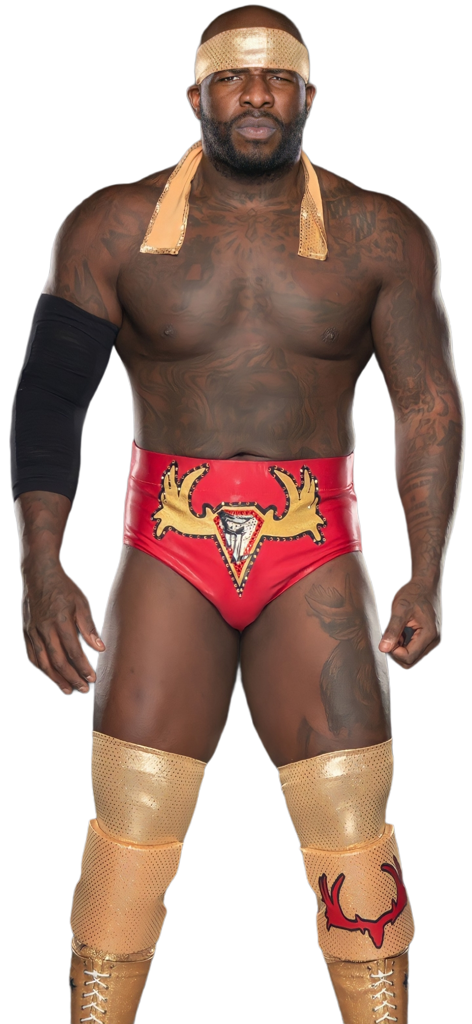 Moose IMPACT Wrestling by emanuelgc7 on DeviantArt