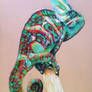 Veiled Chameleon