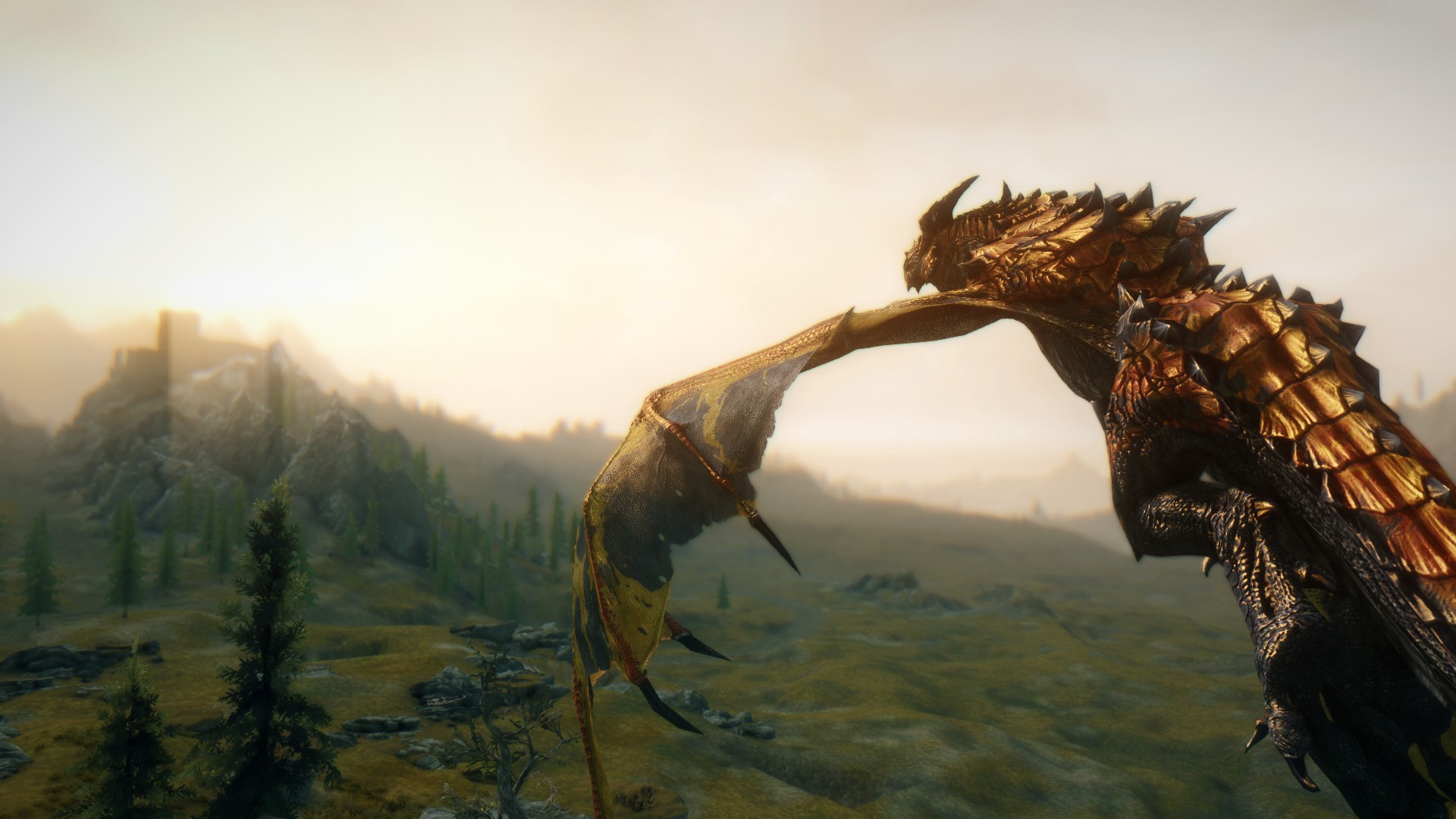 Skyrim Dragon