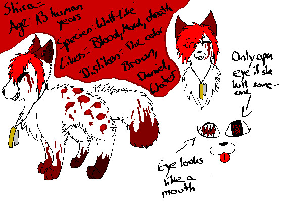 New Chara Ref - Shira the Bloody .