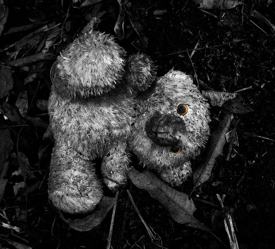 lost teddy