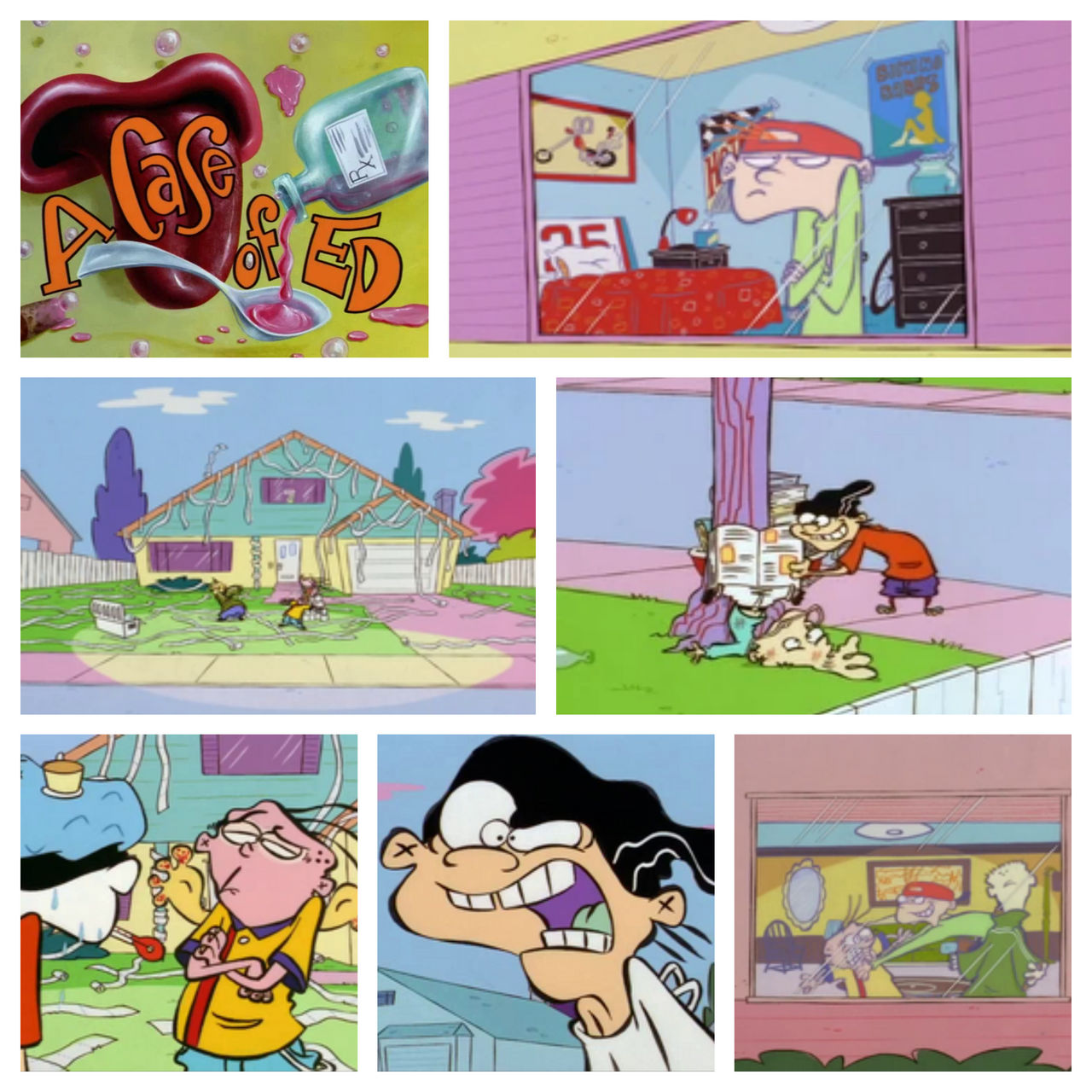Ed Edd N Eddy A Case Of Ed