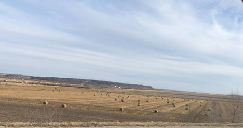 Under Iowa Skies