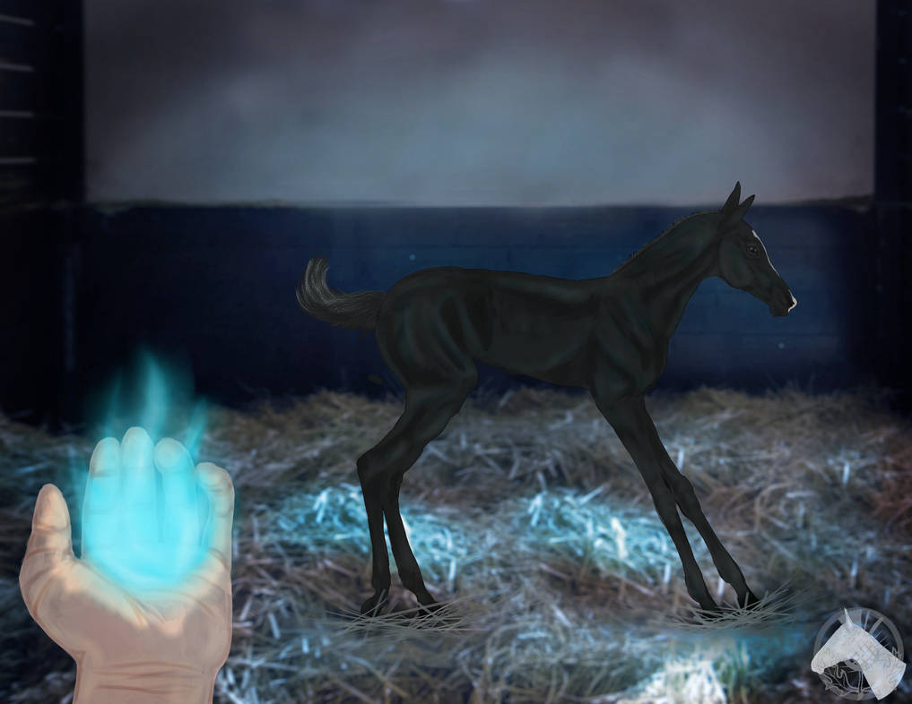 Magic Realized By Revveri On DeviantArt
