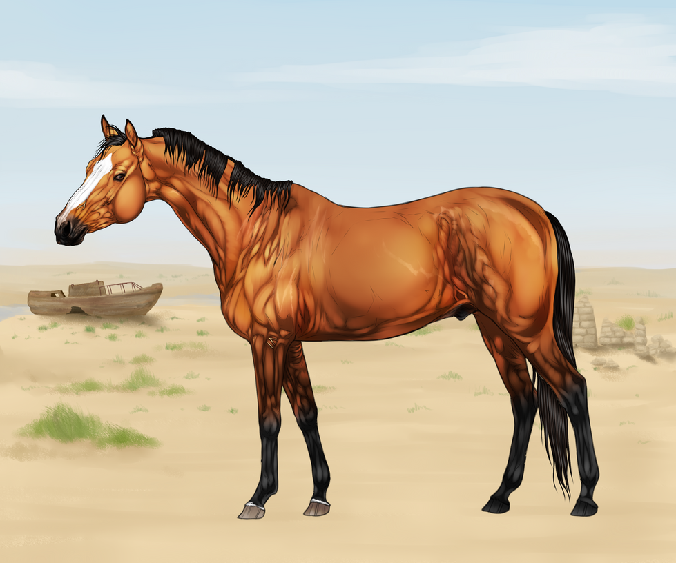 CLOSED IMPORT P0026 By Revveri On DeviantArt