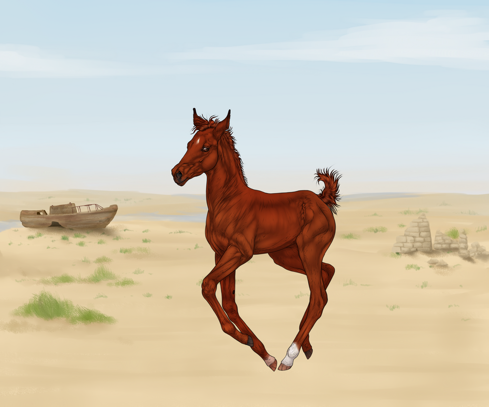 CLOSED FOAL PROGRAM IMPORT P0044 By Revveri On DeviantArt