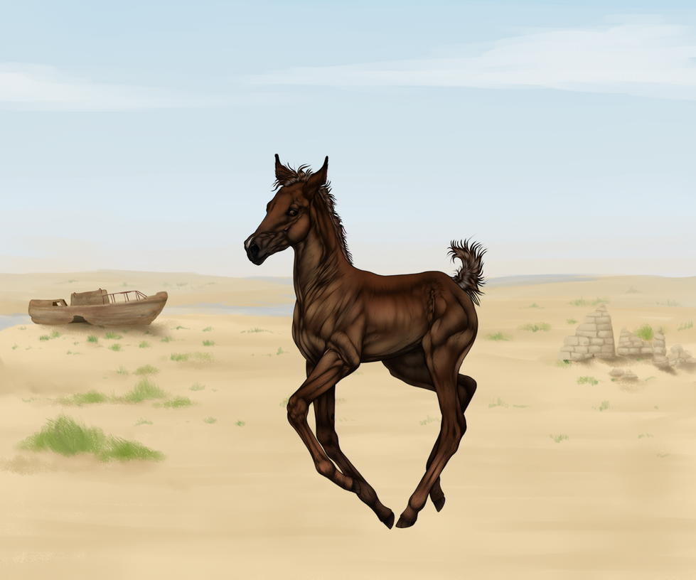 FOAL PROGRAM IMPORT P0060 By Revveri On DeviantArt