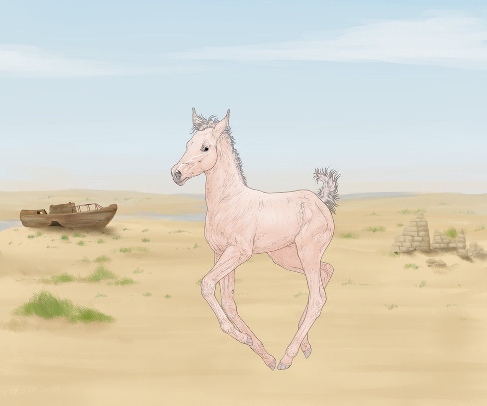 CLOSED FOAL PROGRAM IMPORT P0073 By Revveri On DeviantArt