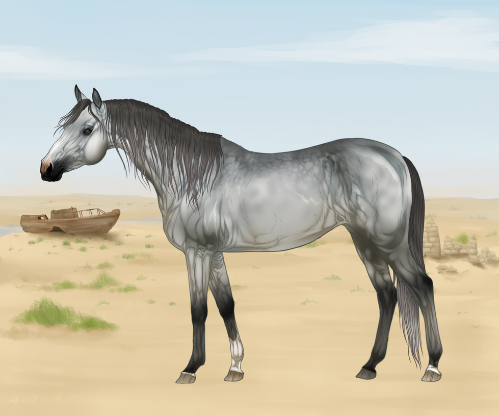 CLOSED IMPORT P0076 By Revveri On DeviantArt