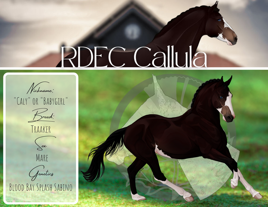 RDEC Callula by Revveri on DeviantArt