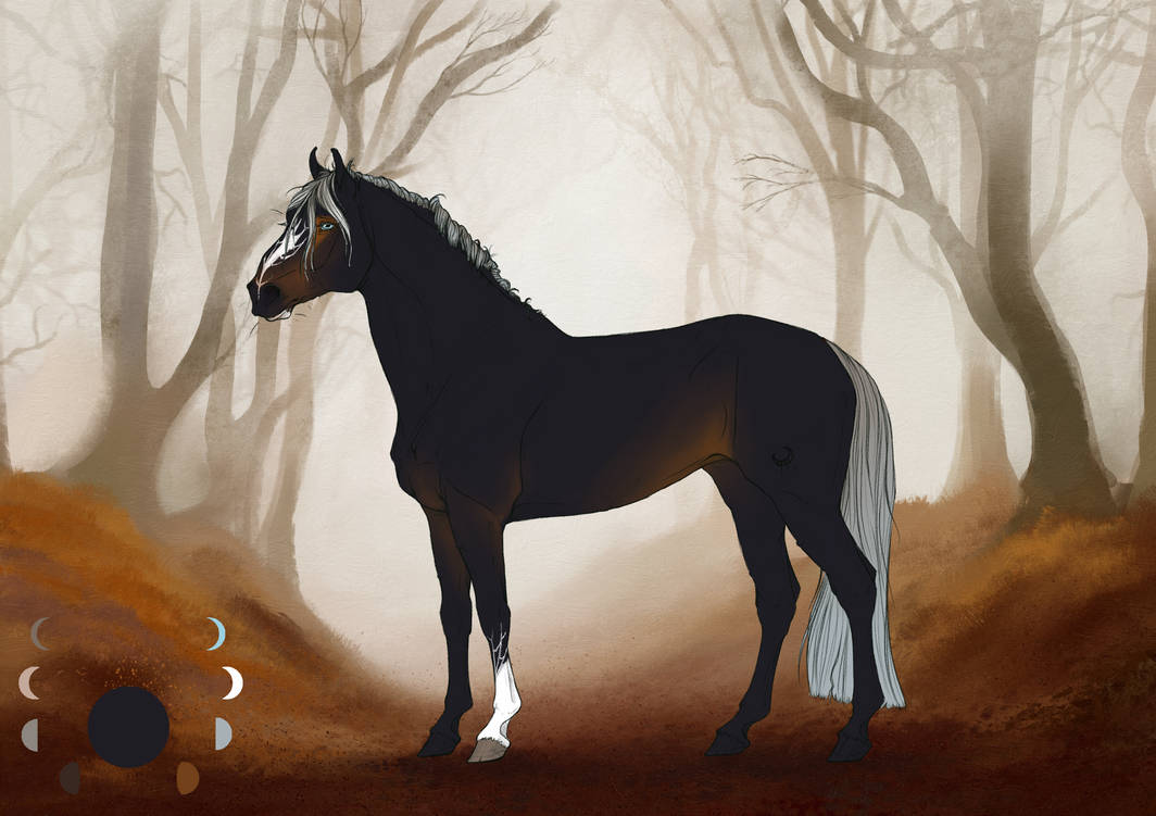 Maritima Ferhexe Mare By Revveri On DeviantArt