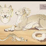 ADOPT - Spirit of Sand
