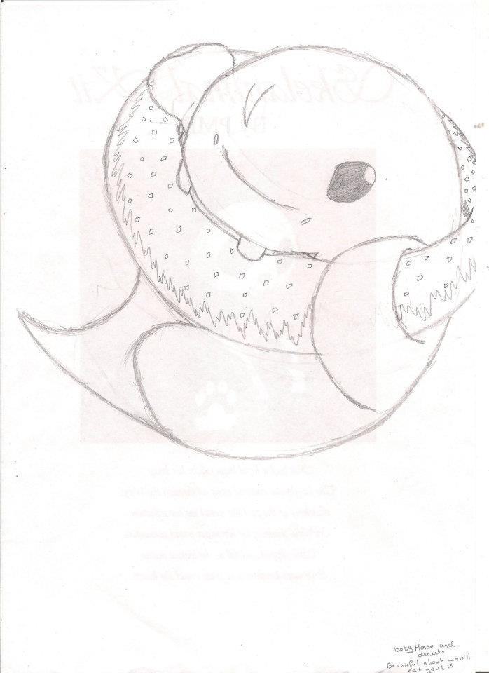 Baby Walrus 1 By Thelittlevamp On DeviantArt