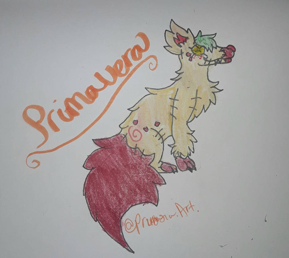 Primavera Ragdoll Primavera Ragdoll by SaikuneDraws on DeviantArt