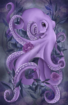 The Lilac Octopus