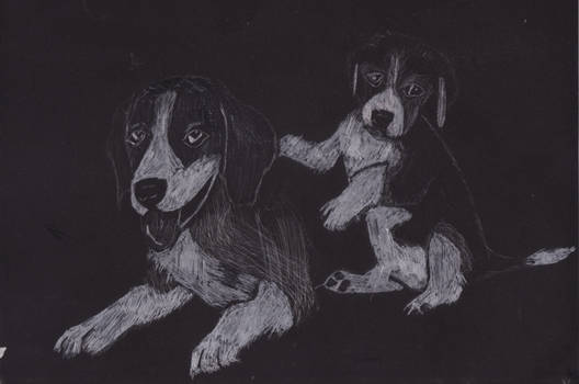 .::Beagles-OLD::.