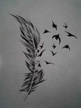 Feather and birds